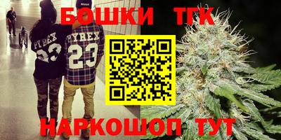 шишки Волжский