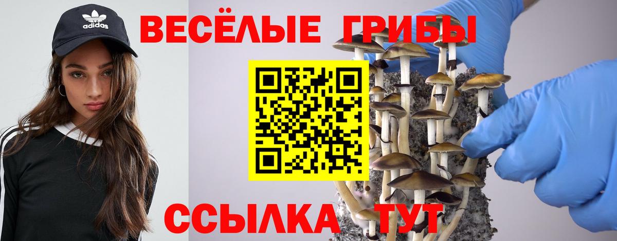 Галлюциногенные грибы мицелий  Вход с VPN  Златоуст 
